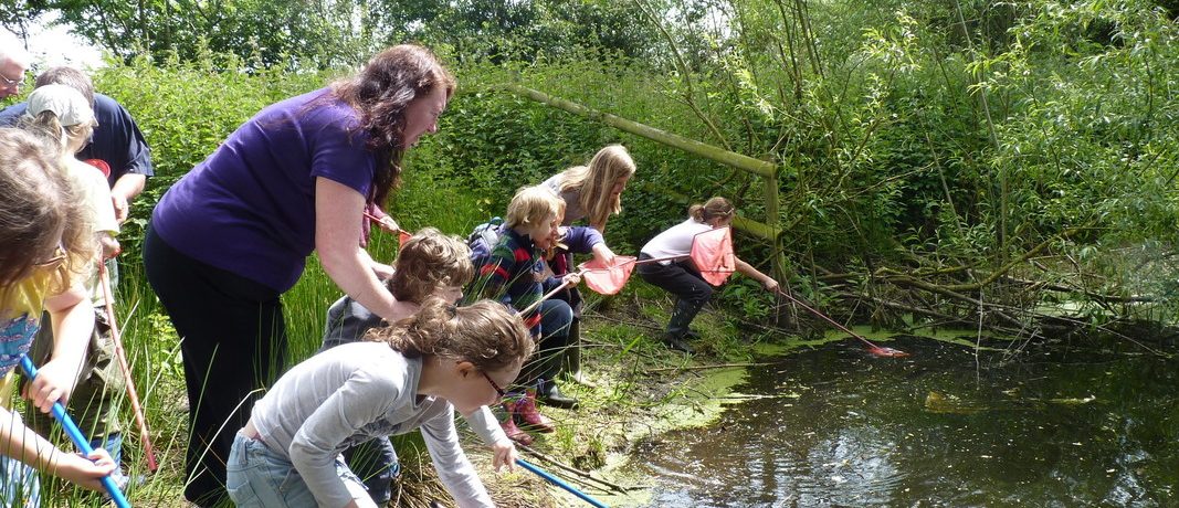 Having fun pond dipping